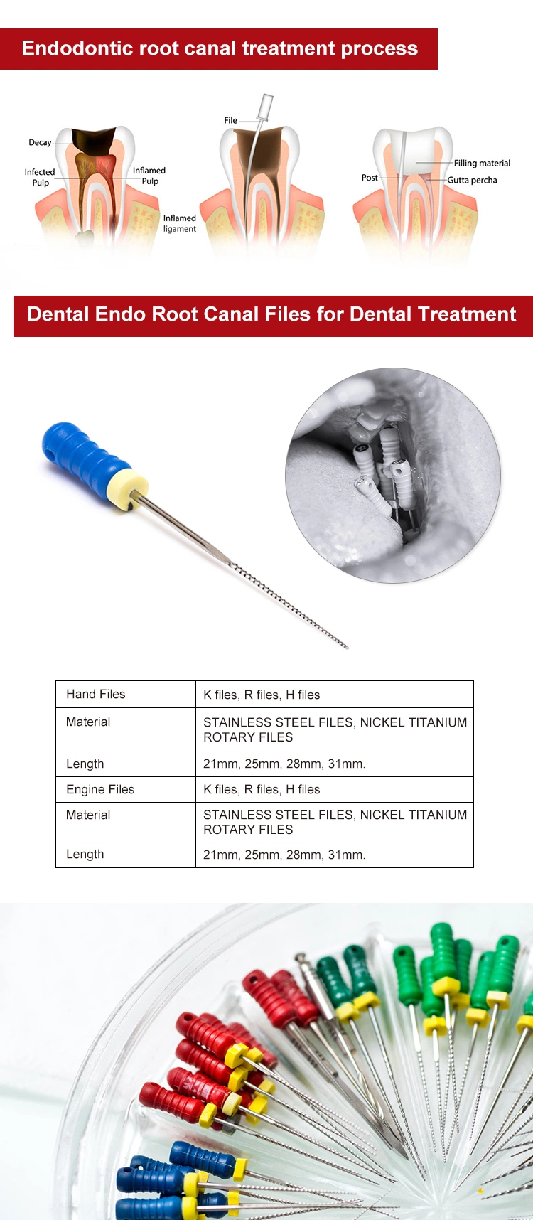 Dental Treatment Kit Dental Root Canal Files Surgical Equipment