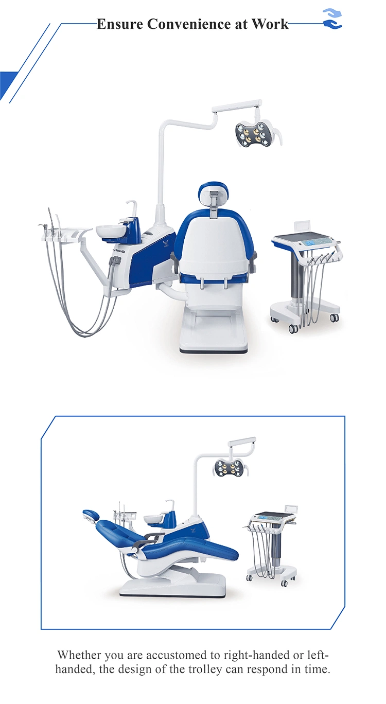 Rotatable Armrest FDA&ISO Approved Dental Chair Dental Care Equipment