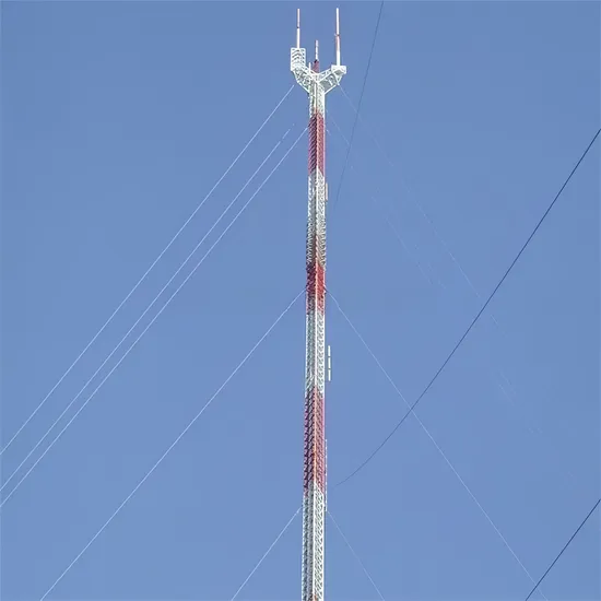 Hot Selling Tower Crane Anemometer Wind Speed Meter/ Cup/ Digital / Anemometer